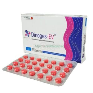 Dinoges-EV