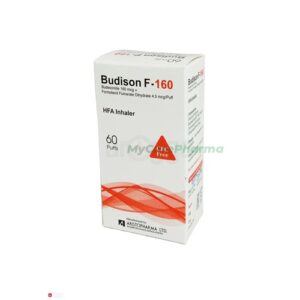 Budison F 160