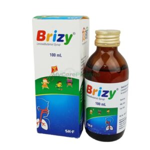 Brizy