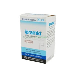 Ipramid Respirator Solution