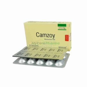 Camzoy 2.5