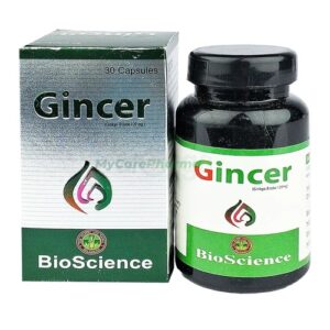 Gincer 120 (Ginkgo Biloba)