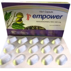 JP Empower 500