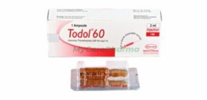 Todol