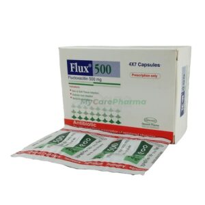 Flux 500