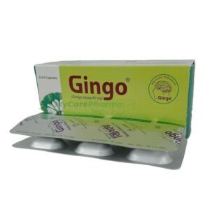Gingo 60