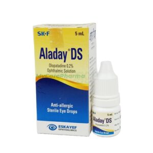 Aladay DS