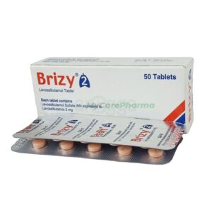 Brizy 2