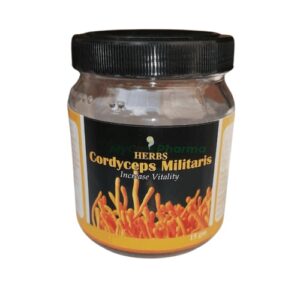 HERBS Cordyceps Militaris 15gm