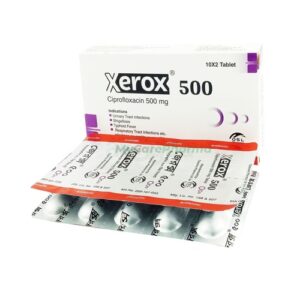 Xerox 500