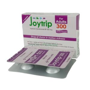 Joytrip 300 (4)