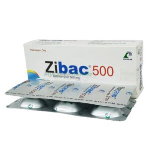 Zibac 500