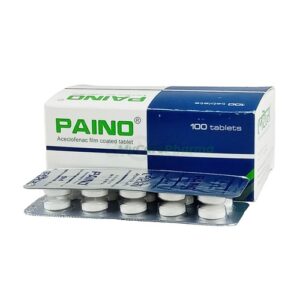 Paino 100