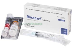 Maxcef IV/IM