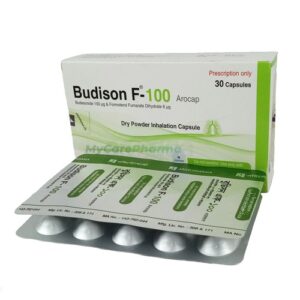 Budison F 100