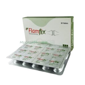 Flamfix 500