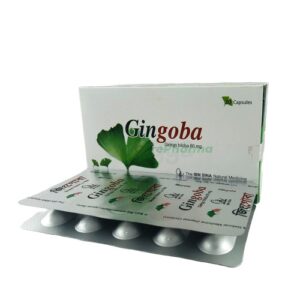 Gingoba-60