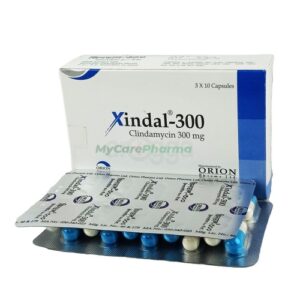 Xindal 300